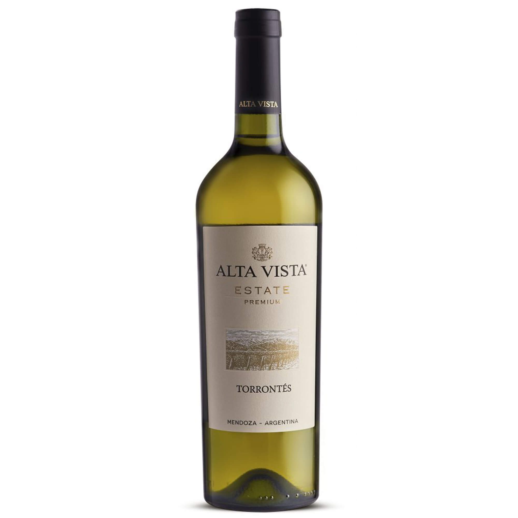 ALTA VISTA TORRONTES